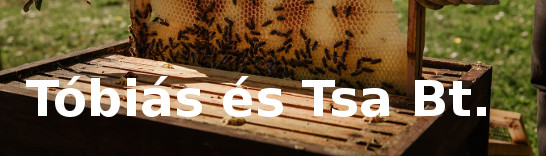 Közös méhészeti fórum - a varroatosis kezelése ökológiailag tiszta módon, méhészet